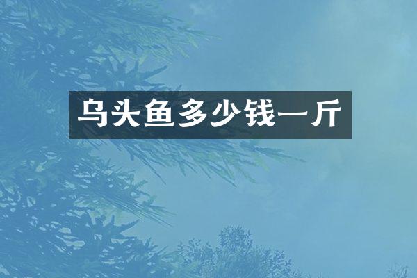 乌头鱼多少钱一斤