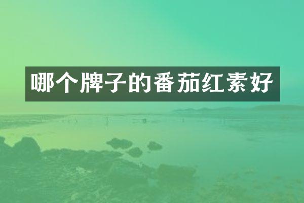 哪个牌子的番茄红素好