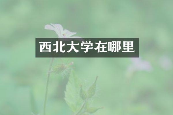 西北大学在哪里