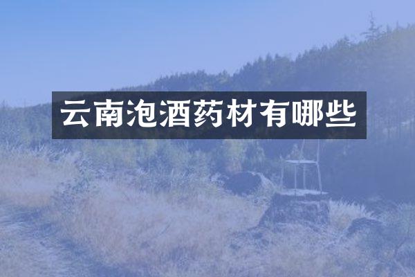 云南泡酒药材有哪些