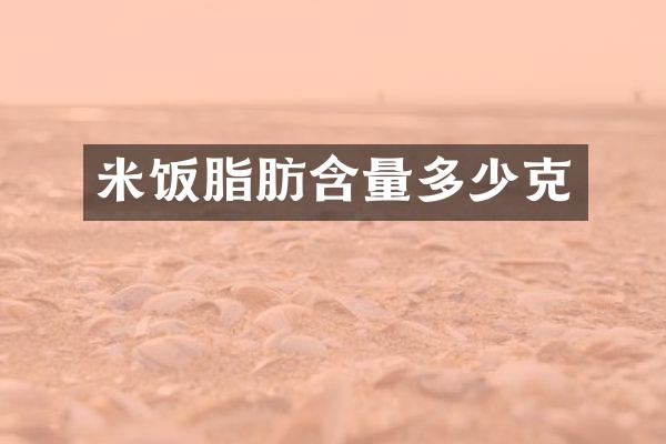 米饭脂肪含量多少克