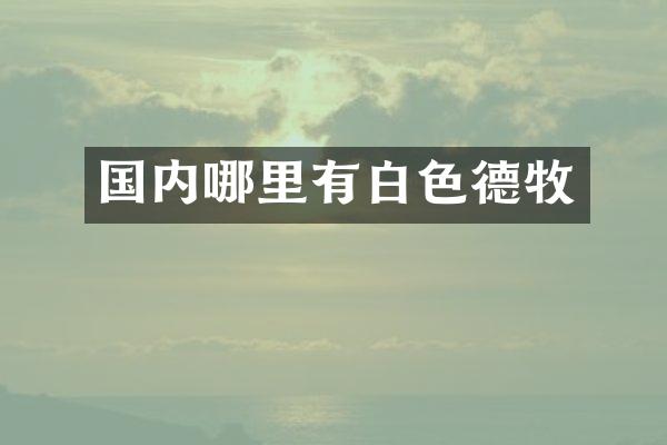 国内哪里有白色德牧