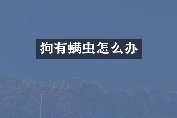 狗有螨虫怎么办