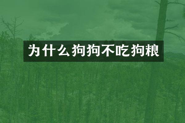 为什么狗狗不吃