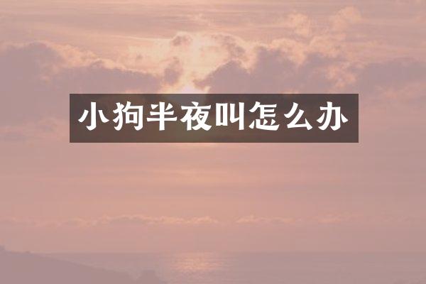 小狗半夜叫怎么办