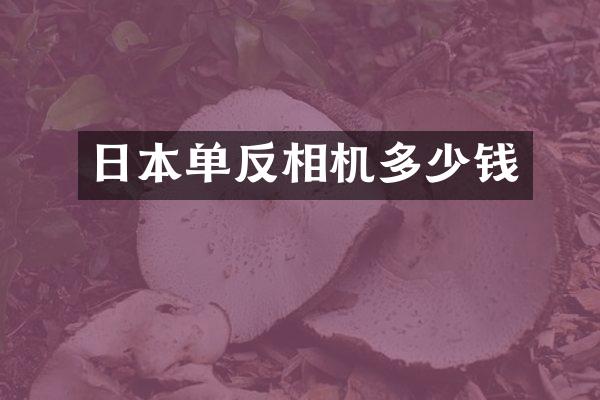 日本单反相机多少钱