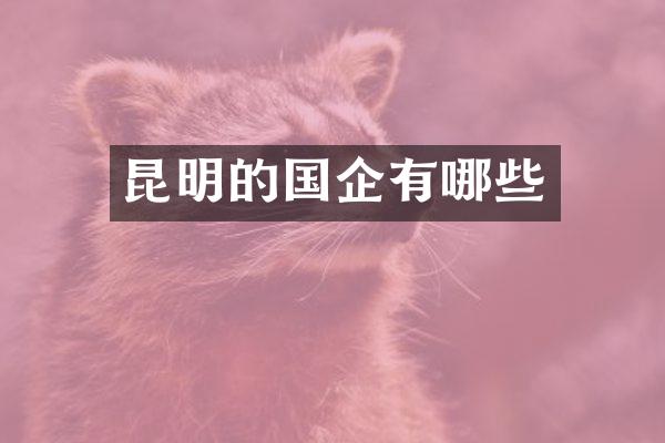 昆明的国企有哪些