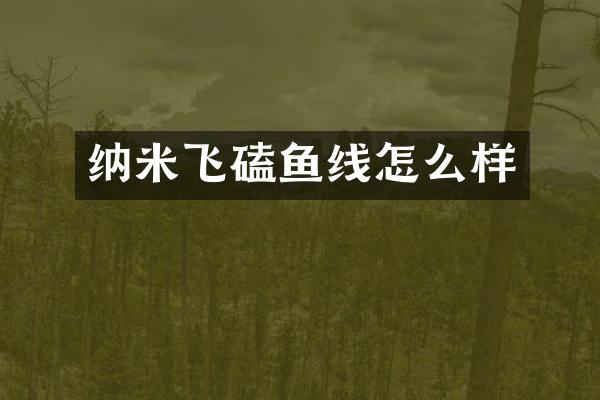 纳米飞磕鱼线怎么样