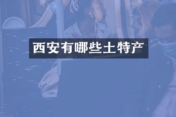 西安有哪些土特产