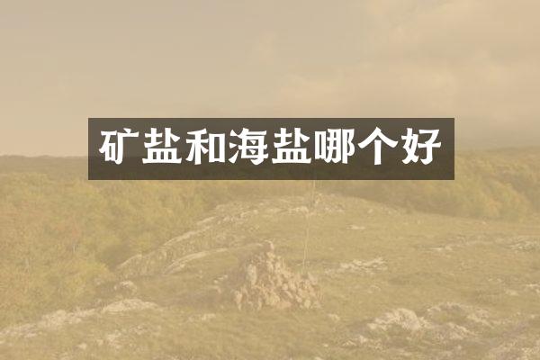 矿盐和海盐哪个好