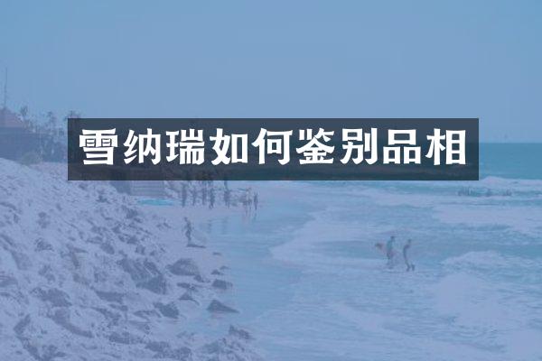 雪纳瑞如何鉴别品相