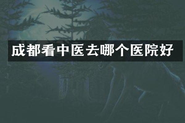 成都看中医去哪个医院好