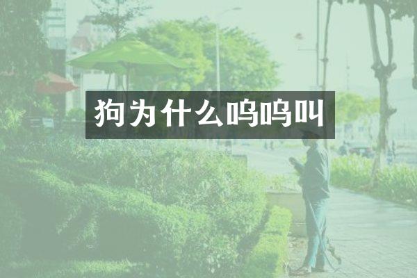 狗为什么呜呜叫