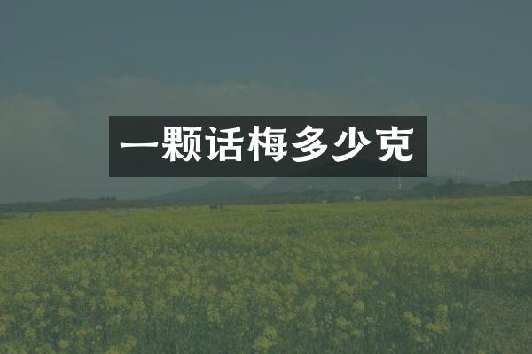 一颗话梅多少克