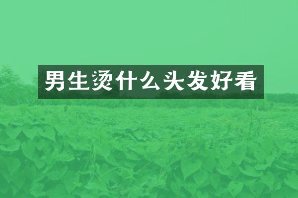 男生烫什么头发好看