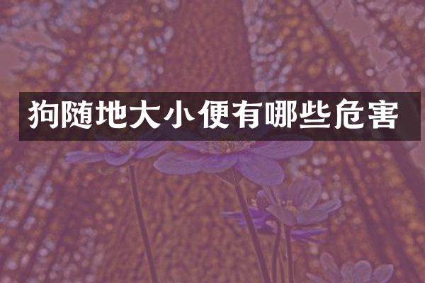 狗随地大小便有哪些危害