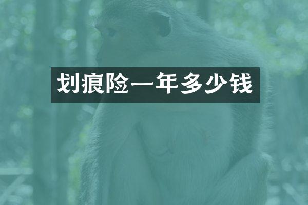 划痕险一年多少钱