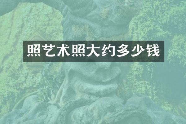 照艺术照大约多少钱