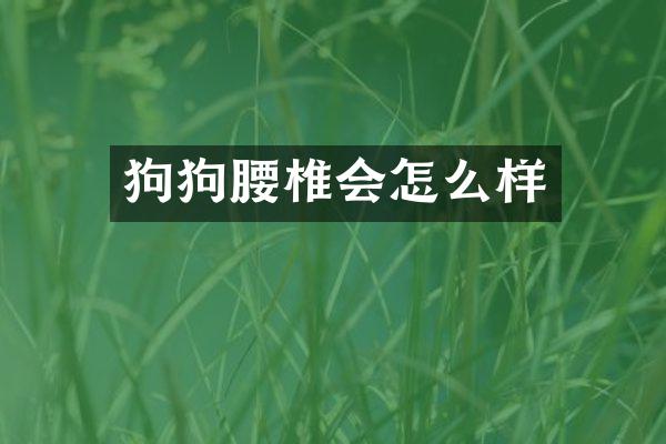 狗狗腰椎会怎么样