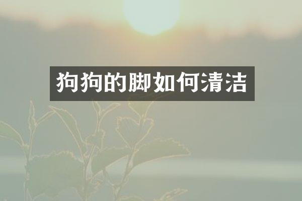 狗狗的脚如何清洁