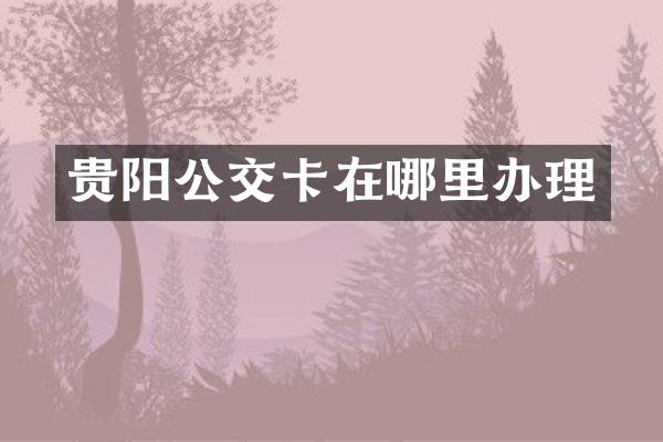 贵阳公交卡在哪里办理