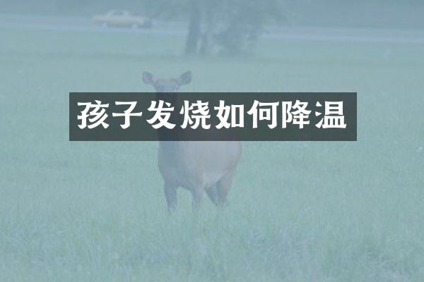 孩子发烧如何降温