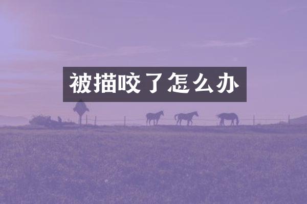 被描咬了怎么办