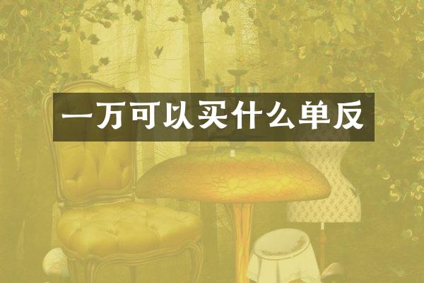一万可以买什么单反