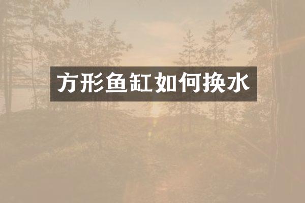 方形鱼缸如何换水