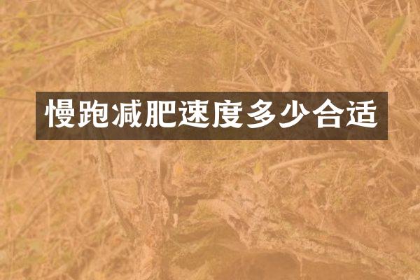 慢跑减肥速度多少合适