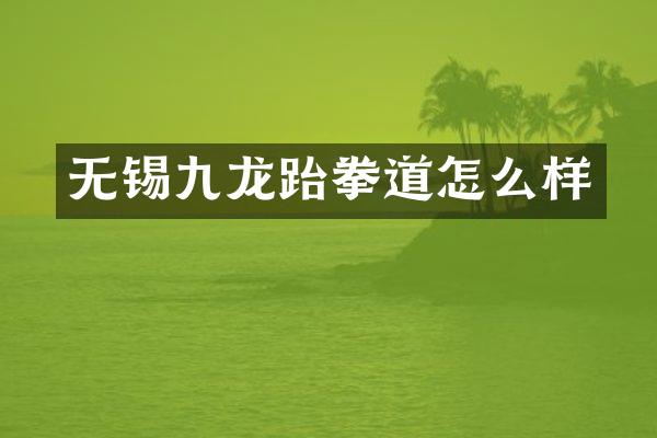 无锡九龙跆拳道怎么样