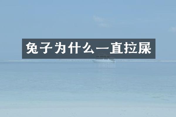 兔子为什么一直拉屎