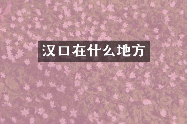 汉口在什么地方