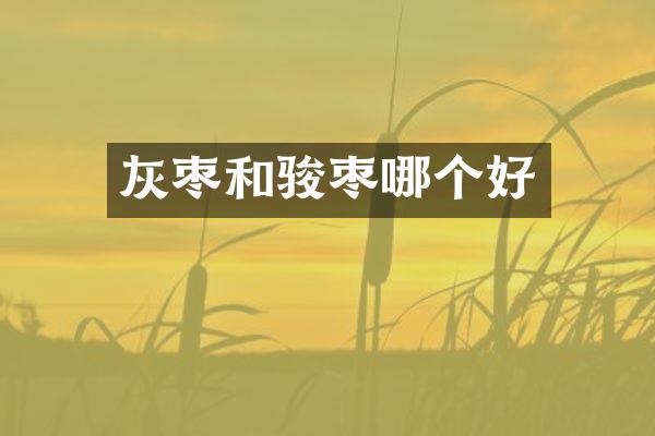 灰枣和骏枣哪个好