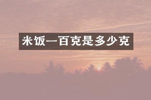 米饭一百克是多少克