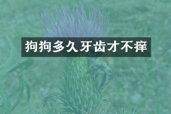 狗狗多久牙齿才不痒