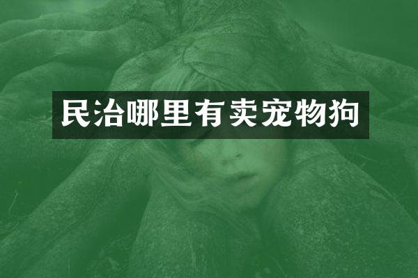 民治哪里有卖宠物狗