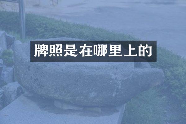 牌照是在哪里上的