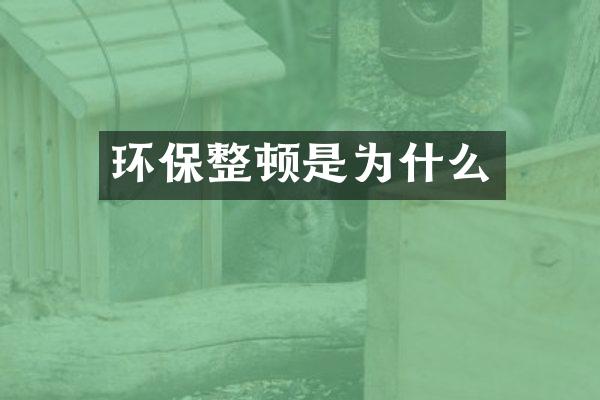 环保整顿是为什么