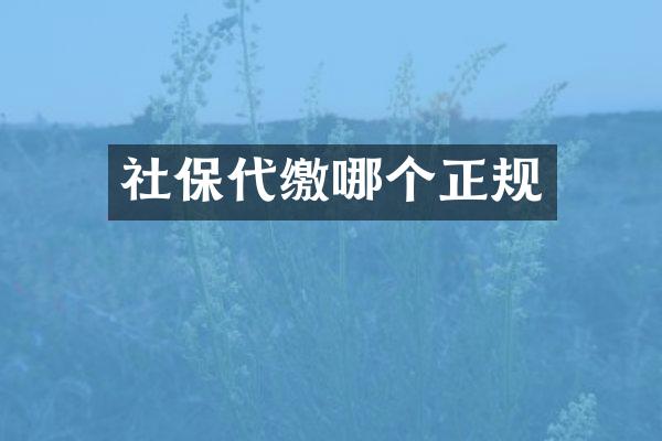 社保代缴哪个正规