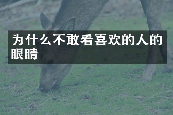为什么不敢看喜欢的人的眼睛