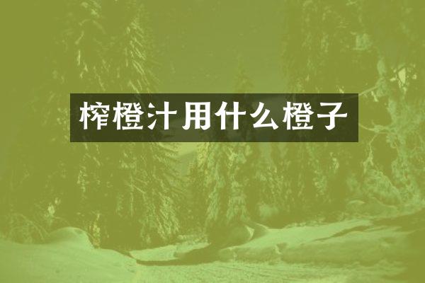 榨橙汁用什么橙子