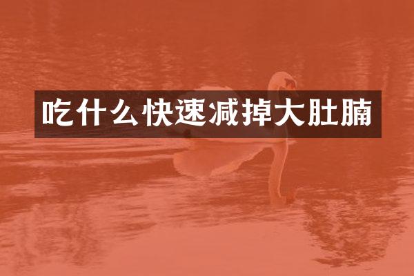 吃什么快速减掉大肚腩