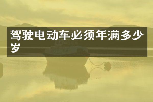 驾驶电动车必须年满多少岁