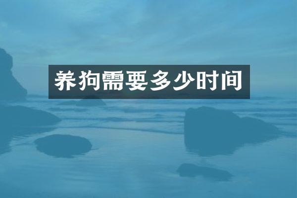 养狗需要多少时间