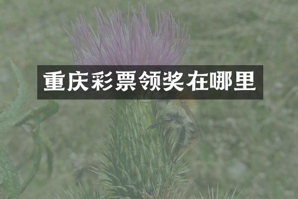 重庆彩票领奖在哪里
