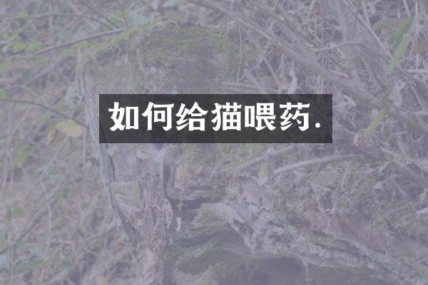如何给猫喂药.