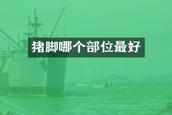 猪脚哪个部位最好