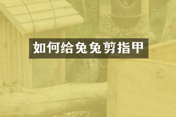 如何给兔兔剪指甲