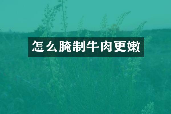 怎么腌制牛肉更嫩